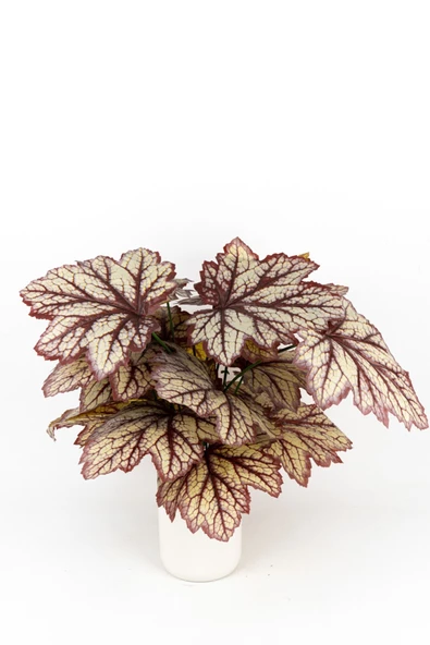 YAPAY ÇİÇEKÇİNİZ BEYAZ SAKSIDA YAPAY KALADYUM (CALADIUM) ÇİÇEĞİ - Resim 4