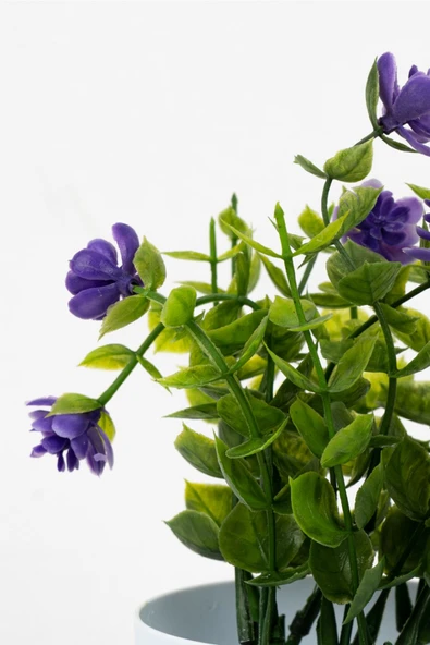 Beyaz Mini Saksıda Yapay Çiçek - Resim 2