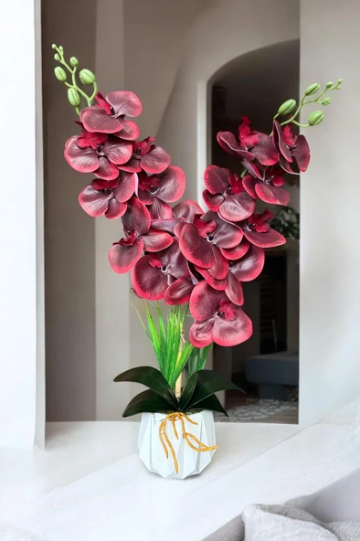 Beyaz Renkli Beton Saksıda 2 Dallı Islak Dokulu Yüksek Kaliteli Yapay Orkide - Resim 11