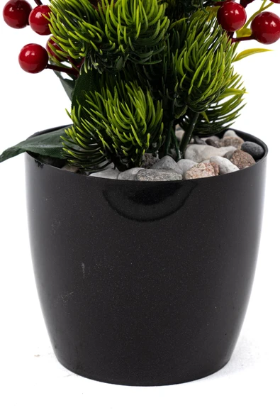 Saksıda Kokina Tanzimli Yapay Yılbaşı Çiçeği - Resim 4