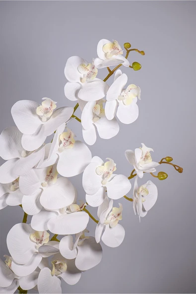 YAPAY ÇİÇEKÇİNİZ Seramik Saksıda 2 Dal Beyaz Islak Orkide - Resim 3