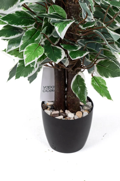 Taş Detaylı Siyah Saksıda Yoğun Yapraklı Yapay Dekor Yeşillik Demeti - Resim 5