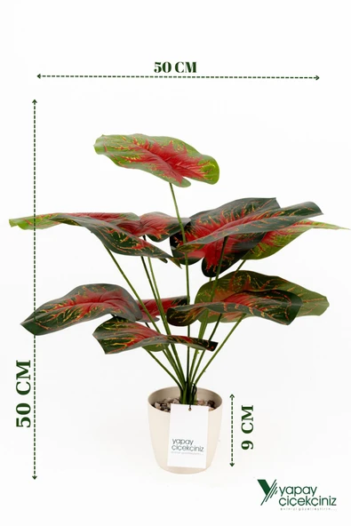 Taş Detaylı Beyaz Saksıda 12 Yapraklı 50 cm Yapay Salon Çiçeği - Resim 6