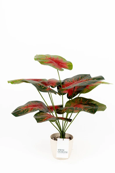 Taş Detaylı Beyaz Saksıda 12 Yapraklı 50 cm Yapay Salon Çiçeği - Resim 10