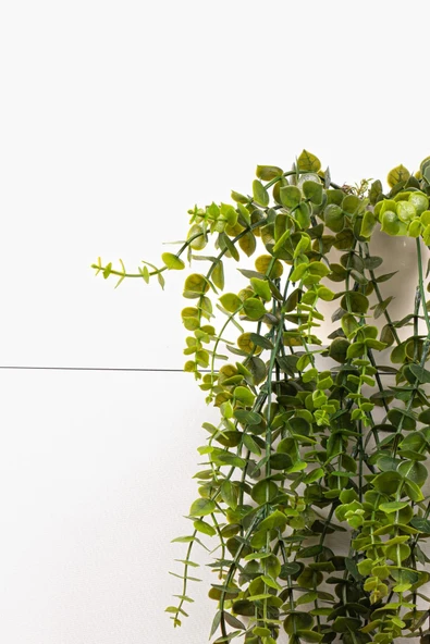 YAPAY ÇİÇEKÇİNİZ Beyaz Plastik Saksıda Yoğun Yapraklı 70 Cm Yapay Sarkan Şimşir - Resim 3