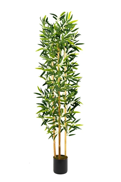 YAPAY ÇİÇEKÇİNİZ Yapay Yoğun Yapraklı Dekoratif Bambu Ağacı 3 Gövde 150cm - 1