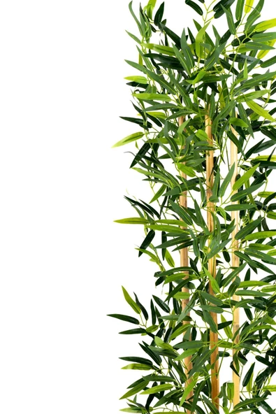 YAPAY ÇİÇEKÇİNİZ Yapay Yoğun Yapraklı Dekoratif Bambu Ağacı 3 Gövde 150cm - 6