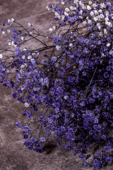 YAPAY ÇİÇEKÇİNİZ Şoklanmış Cipso Demeti Mor - Resim 3