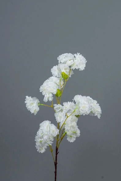 Yapay Lüks Bahardalı - Resim 3