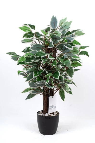 Taş Detaylı Siyah Saksıda Yoğun Yapraklı Yapay Dekor Yeşillik Demeti - Resim 2