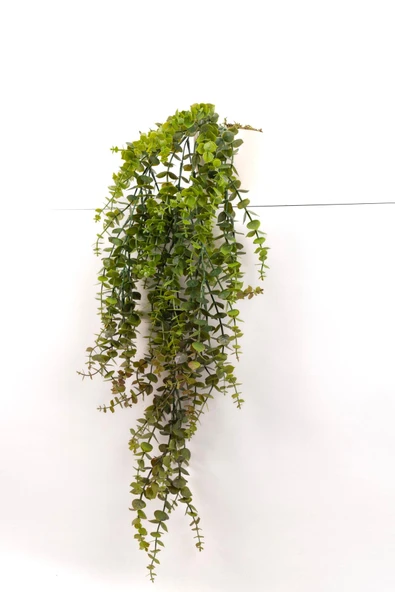 YAPAY ÇİÇEKÇİNİZ Beyaz Plastik Saksıda Yoğun Yapraklı 70 Cm Yapay Sarkan Şimşir - Resim 2