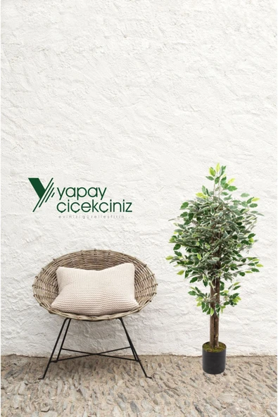 YAPAY ÇİÇEKÇİNİZ 120 Cm Yeşil Beyaz Yapay Benjamin Ağacı - Resim 6