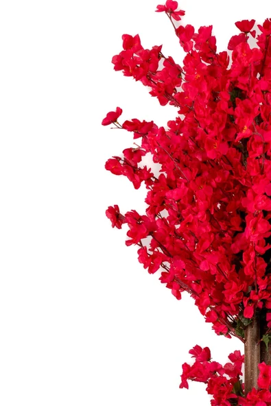 YAPAY ÇİÇEKÇİNİZ Ahşap Saksıda 160 Cm Yapay Bahardalı Ağacı - Resim 2