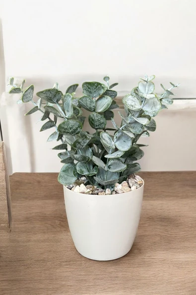 TAŞ DETAYLI SAKSIDA GERÇEK DOKULU YAPAY OKALİPTUS AĞACI - Resim 3