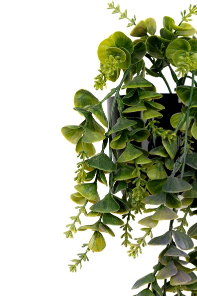 Yapay Çiçek Siyah Renkli Saksısında Taş Detaylı Yeşil Okaliptus Sarkıtı - Resim 6