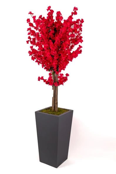 YAPAY ÇİÇEKÇİNİZ Ahşap Saksıda 160 Cm Yapay Bahardalı Ağacı ürün görseli