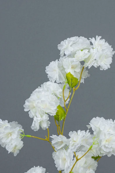 Yapay Lüks Bahardalı - Resim 4