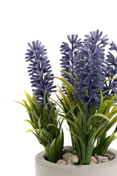 GRİ BETON SAKSIDA MOR RENKLİ YAPAY LAVANTA DEMETİ - Resim 2