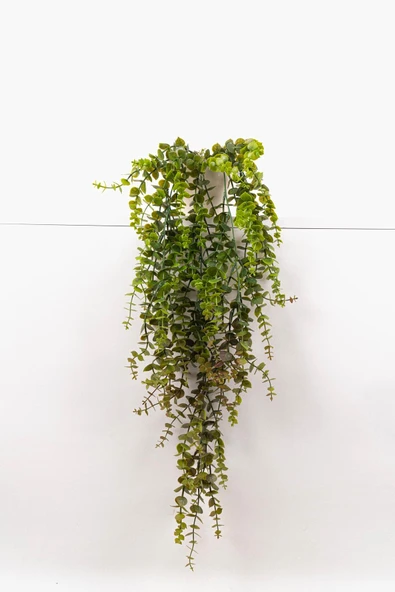 YAPAY ÇİÇEKÇİNİZ Beyaz Plastik Saksıda Yoğun Yapraklı 70 Cm Yapay Sarkan Şimşir - Resim 5