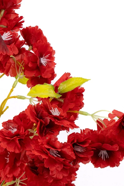 Yapay Lüks Bahardalı - Resim 7