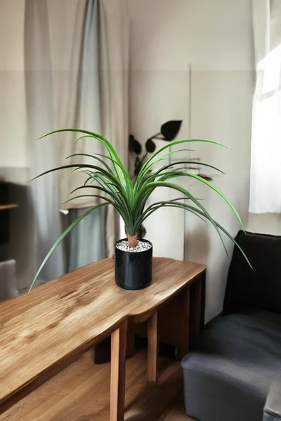 YAPAY ÇİÇEKÇİNİZ TAŞ KAPLI SİYAH RENKLİ SAKSIDA 55 CM YAPAY YUKA AĞACI - Resim 4