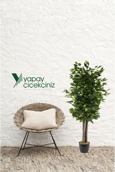 YAPAY ÇİÇEKÇİNİZ Siyah Saksıda Yoğun Yapraklı 100 Cm Yapay Benjamin Ağacı - Resim 2