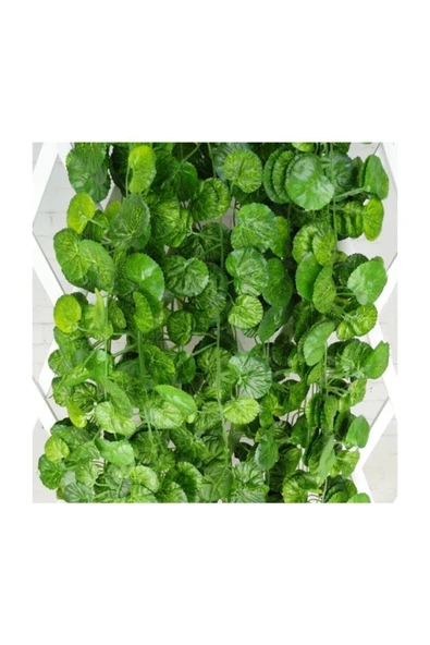 YAPAY ÇİÇEKÇİNİZ Yapay Sarmaşık 12'li Uzunluk 2 Metre 30 Cm - Resim 4