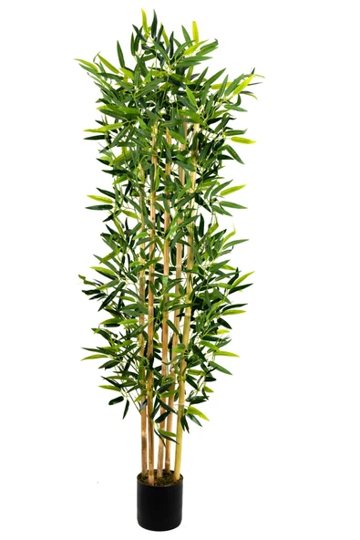 YAPAY ÇİÇEKÇİNİZ 5 Gövdeli Yoğun Yapraklı 150 Cm Yapay Bambu Ağacı - Resim 5