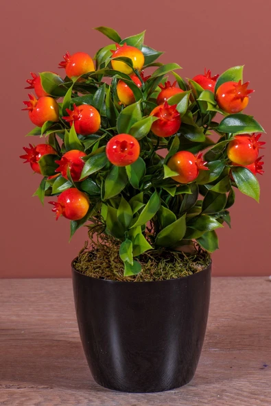 YAPAY ÇİÇEKÇİNİZ Siyah Saksıda Yapay Nar Ağacı - Resim 3