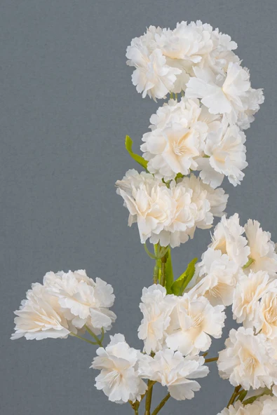 Yapay Lüks Bahardalı - Resim 2