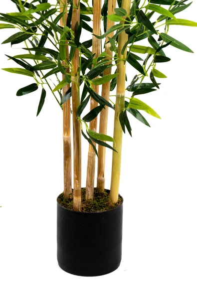 YAPAY ÇİÇEKÇİNİZ 5 Gövdeli Yoğun Yapraklı 150 Cm Yapay Bambu Ağacı - Resim 4