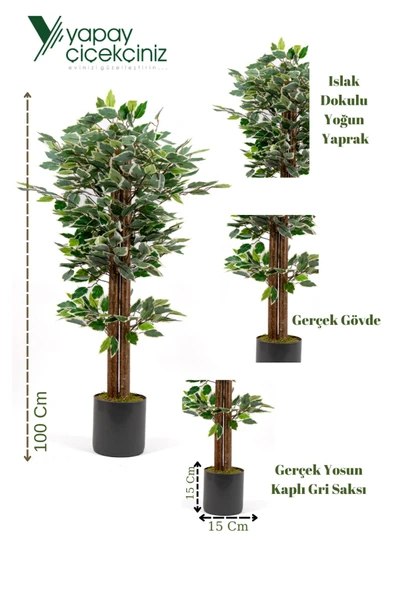 YAPAY ÇİÇEKÇİNİZ Gri Saksıda 100 Cm Yeşil Beyaz Yapay Benjamin Ağacı - Resim 3