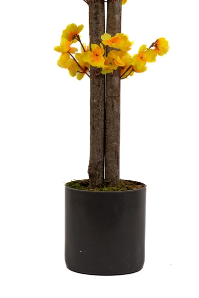 YAPAY ÇİÇEKÇİNİZ Gri Saksıda 100 Cm Sarı Bahardalı - 6