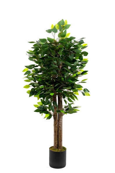YAPAY ÇİÇEKÇİNİZ 120 Cm Benjamin Ağacı ürün görseli