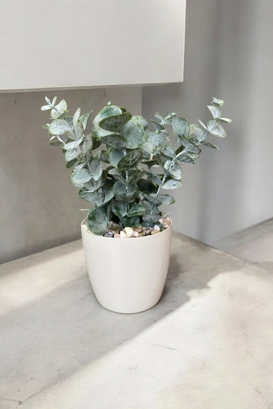 TAŞ DETAYLI SAKSIDA GERÇEK DOKULU YAPAY OKALİPTUS AĞACI - Resim 7