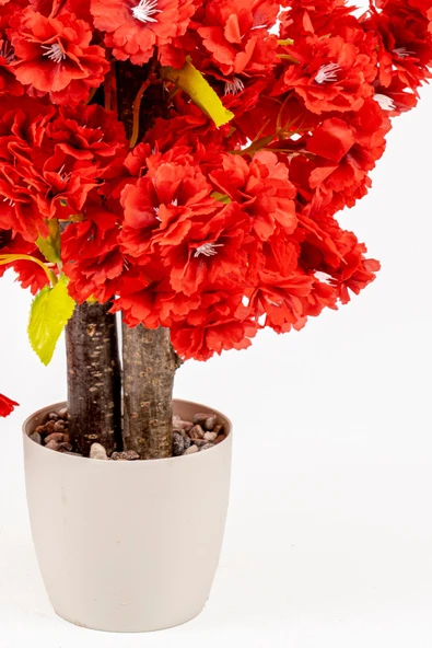 Taş Detaylı Siyah Saksıda 60 Cm Yoğun Yapraklı Yapay Benjamin Ağacı - Resim 12