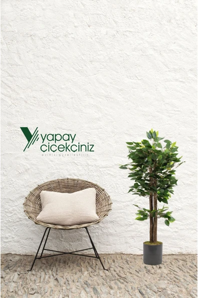 YAPAY ÇİÇEKÇİNİZ Gri Saksıda Yoğun Yapraklı Yapay Benjamin Ağacı - Resim 5