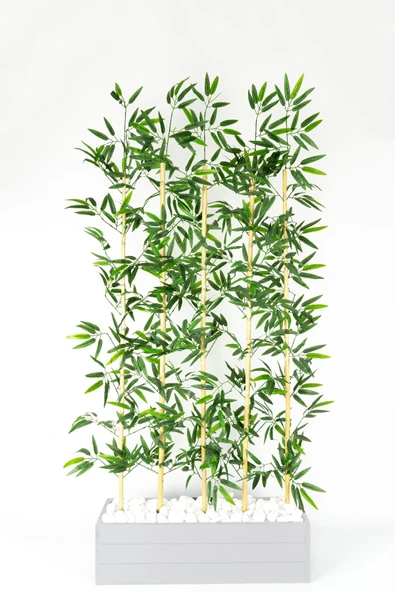 5 Bambulu 170 Cm Yapay Bambu Seperatör - Resim 2