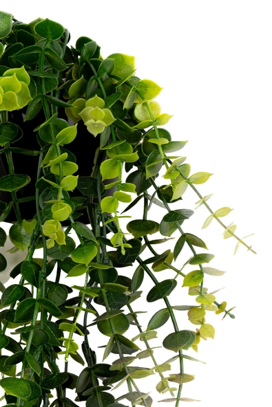 Yapay Çiçek Siyah Renkli Saksısında Taş Detaylı Yeşil Okaliptus Sarkıtı - Resim 3