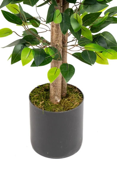 YAPAY ÇİÇEKÇİNİZ Gri Saksıda Yoğun Yapraklı Yapay Benjamin Ağacı - Resim 7