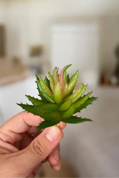 Yapay Sukulent Kaktüs - Resim 2