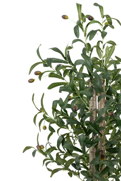 YAPAY ÇİÇEKÇİNİZ Siyah Saksıda 100 Cm Yapay Zeytin Ağacı - Resim 4