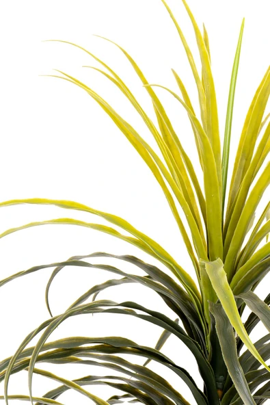 YAPAY ÇİÇEKÇİNİZ Taş Detaylı Siyah Renkli Saksıda 110 cm Yapay Yuka Dragon Ağacı - Resim 2