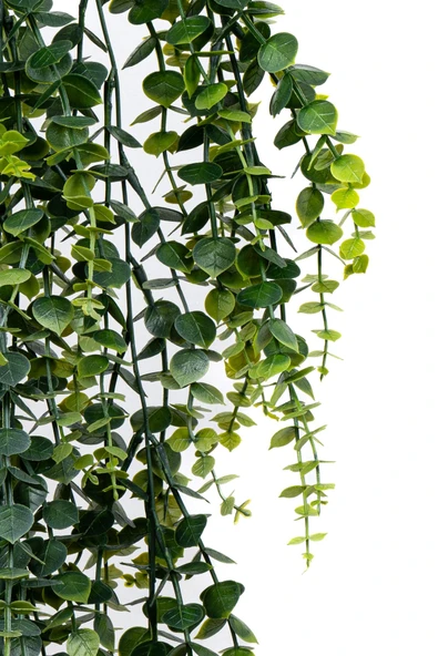 YAPAY ÇİÇEKÇİNİZ Yapay Dekor Sarmaşık - Resim 5