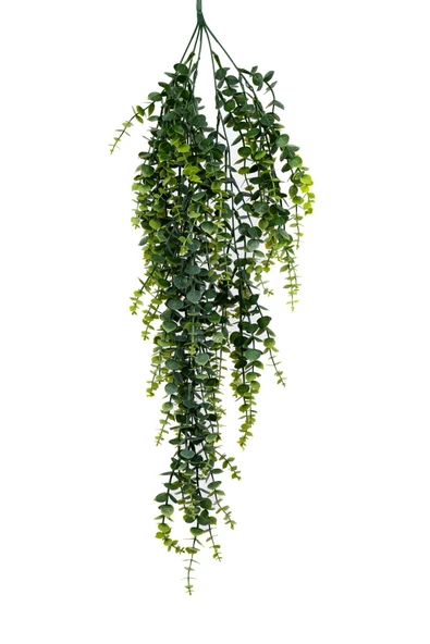 YAPAY ÇİÇEKÇİNİZ Yapay Dekor Sarmaşık - Resim 4