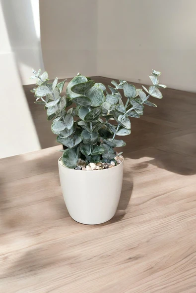 TAŞ DETAYLI SAKSIDA GERÇEK DOKULU YAPAY OKALİPTUS AĞACI - Resim 2