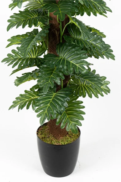 YAPAY ÇİÇEKÇİNİZ YAPAY MONSTERA AĞACI 150 CM - Resim 4