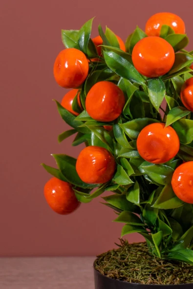 YAPAY ÇİÇEKÇİNİZ Siyah Saksıda Yapay Mandalina Ağacı - Resim 4