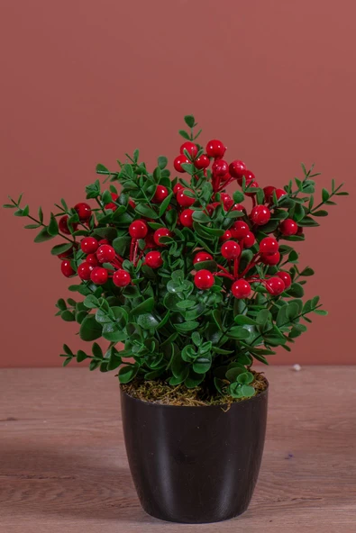 YAPAY ÇİÇEKÇİNİZ Siyah Saksıda Yapay Kokina Ağacı ürün görseli