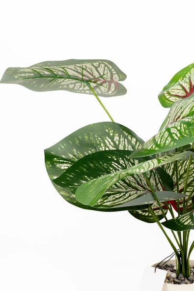 Taş Detaylı Beyaz Saksıda 12 Yapraklı 50 cm Yapay Salon Çiçeği - Resim 2